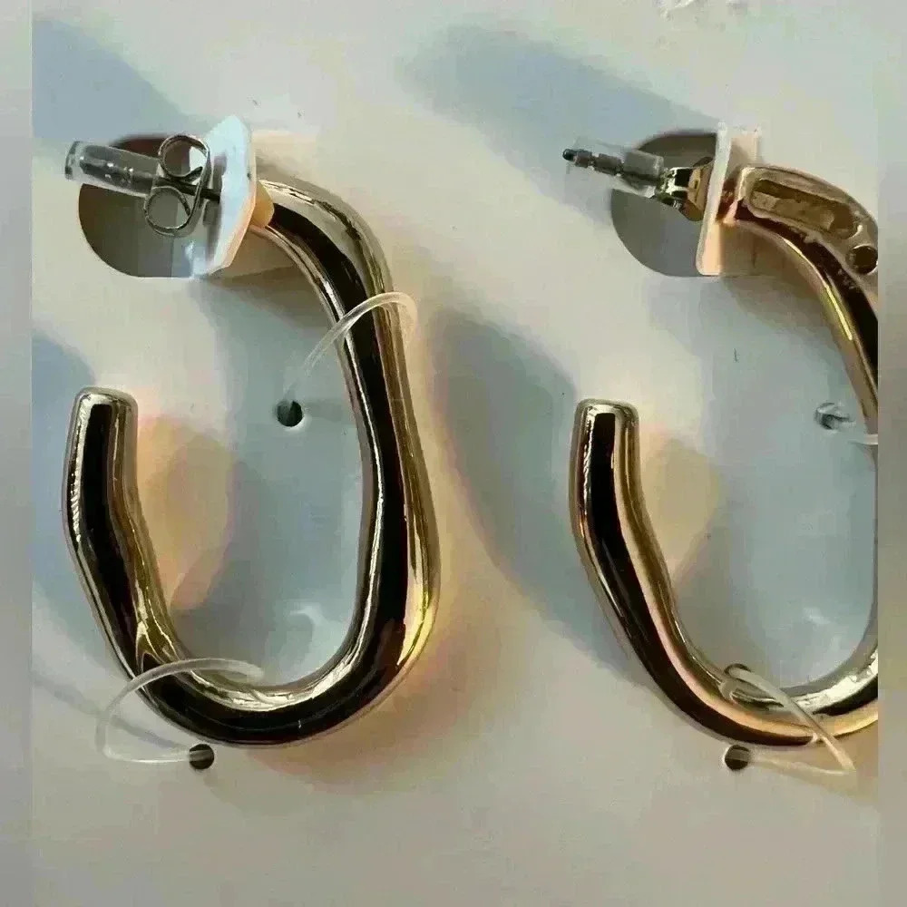 🔥🔥Zara Classy earrings